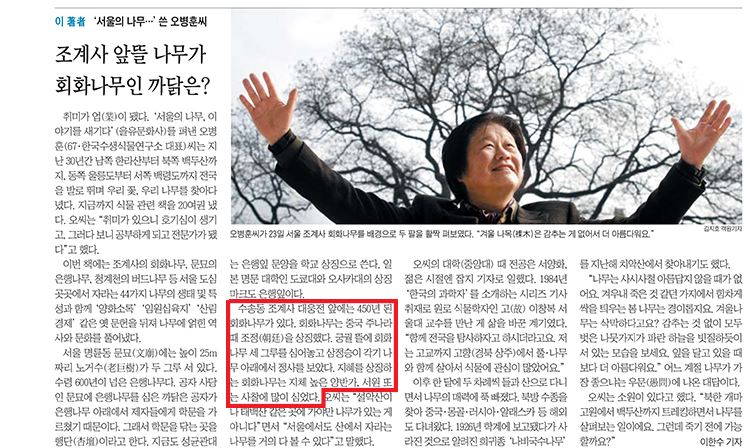 Chosun scrap1