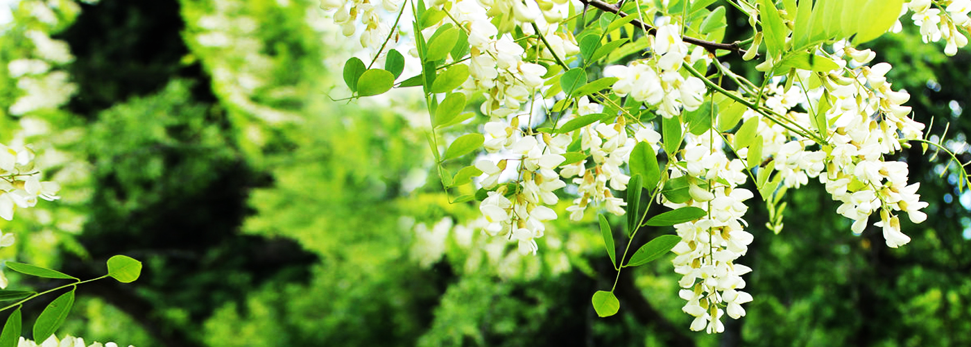 강화농장 = 신뢰를 최우선시 합니다.