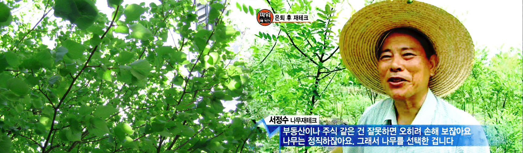 묘목을 장성으로 길러보세요.