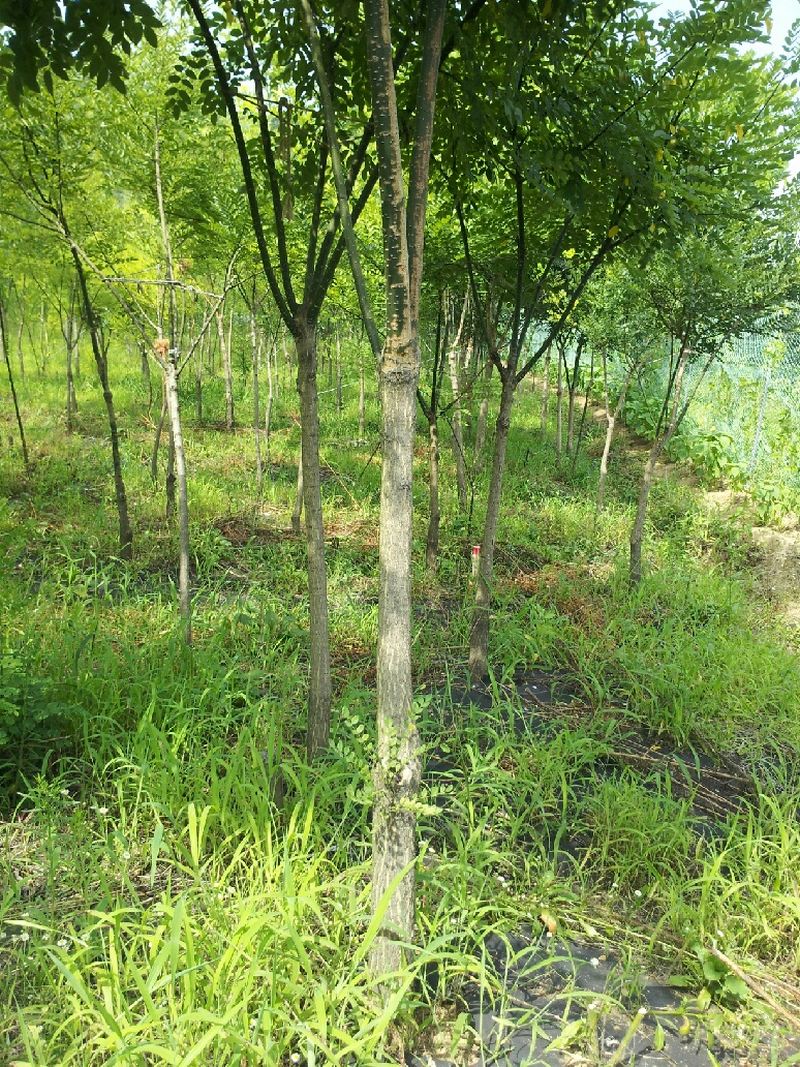 얼마나 자랐을까?