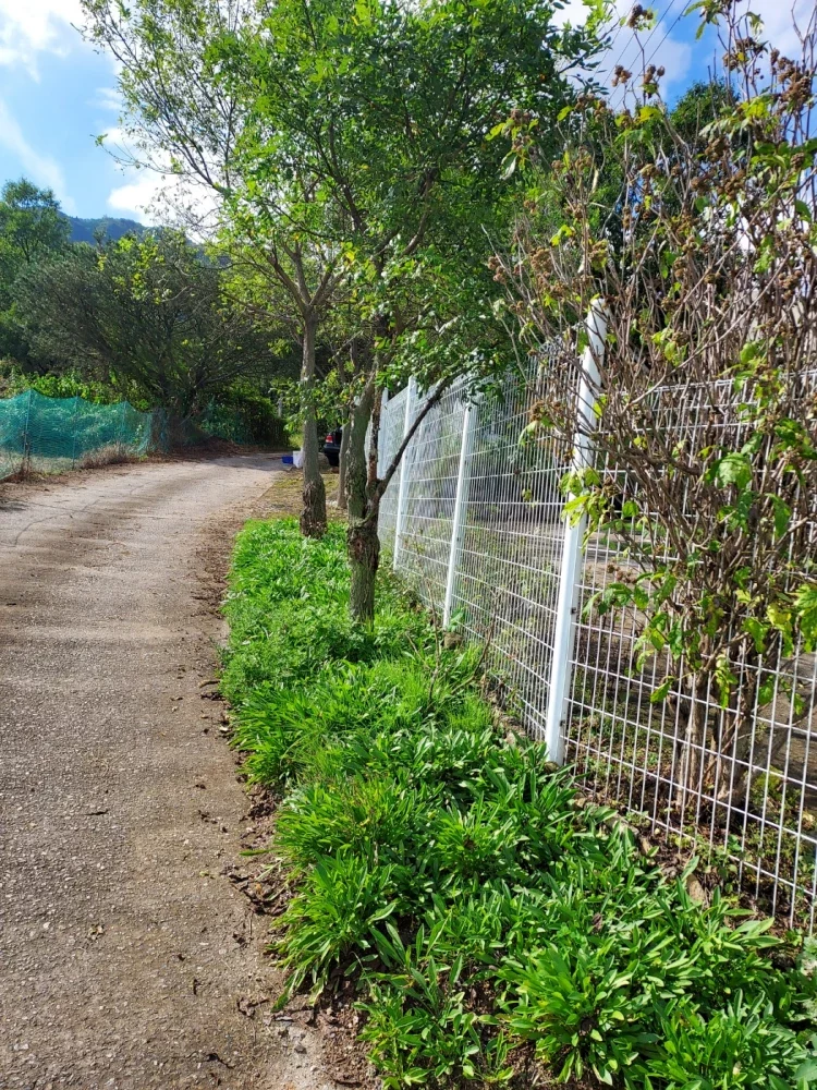 마가목 강화농장 서정수농장주