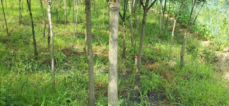 얼마나 자랐을까?